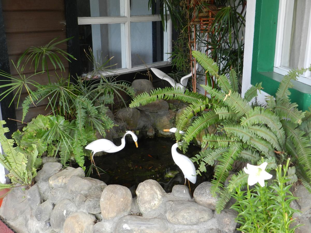 Eeescart Resort Nuwaraeliya Nuwara Eliya Exteriör bild